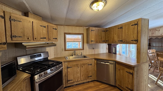 kitchen with sink, appliances with stainless steel finishes, light hardwood / wood-style floors, kitchen peninsula, and extractor fan