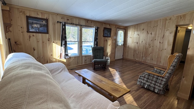 living room featuring wood walls and hardwood / wood-style floors