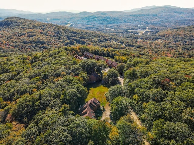 drone / aerial view featuring a mountain view