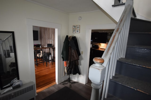 entrance foyer featuring dark hardwood / wood-style floors, radiator heating unit, and crown molding