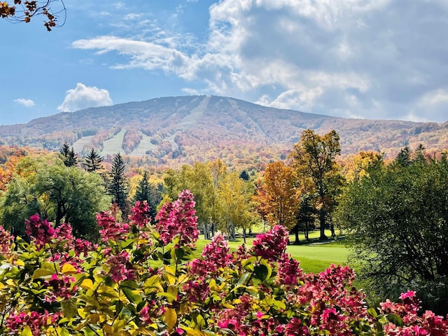 view of mountain feature