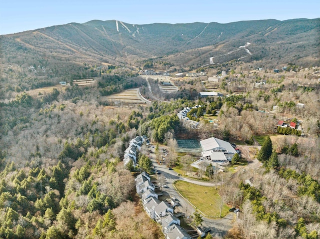 birds eye view of property featuring a mountain view