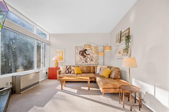 carpeted living room with heating unit