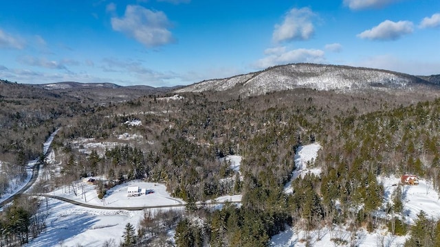 Listing photo 3 for LOT3 Kimpton Brook Rd, Wilmot NH 03287