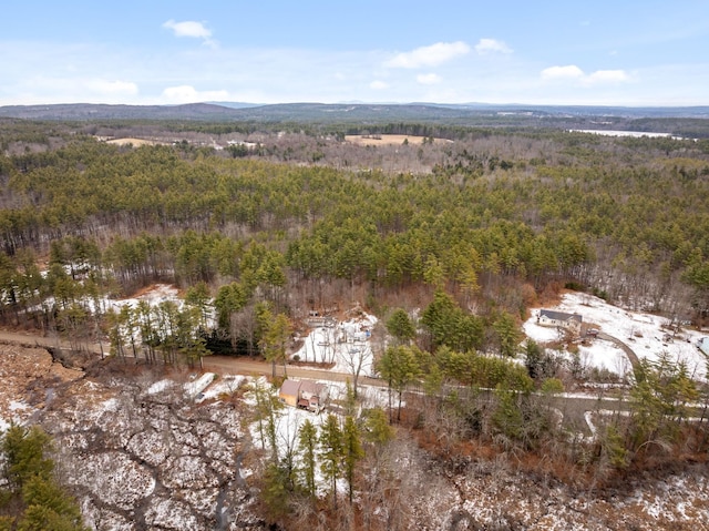 167 Branch Londonderry Tpke, Hopkinton NH, 03229 land for sale