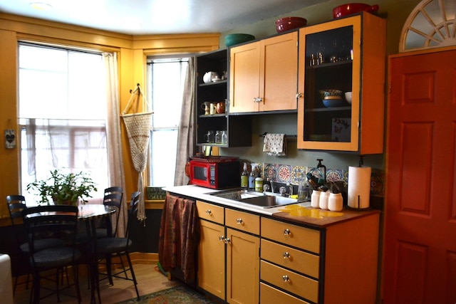 kitchen featuring dark hardwood / wood-style floors and sink