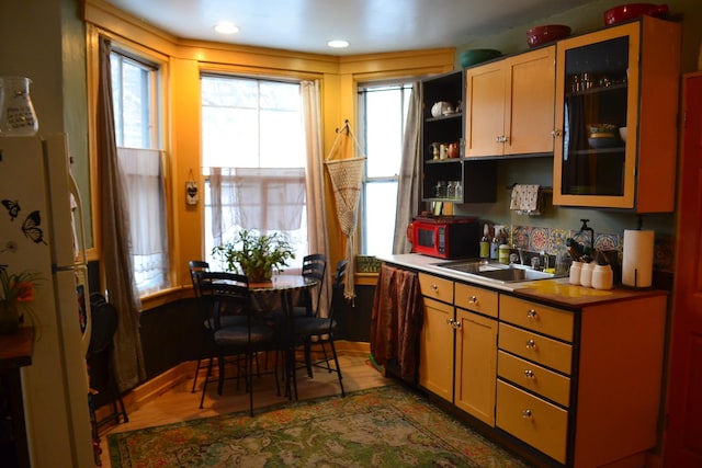 kitchen featuring dark hardwood / wood-style flooring, white refrigerator, and sink