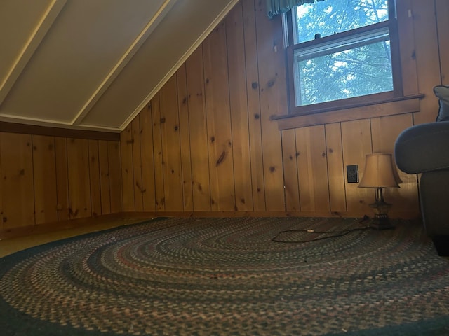 additional living space with wood walls