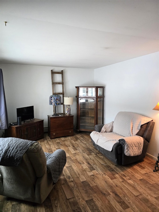 living room featuring wood-type flooring