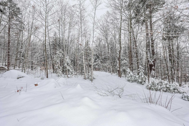 view of snow covered land