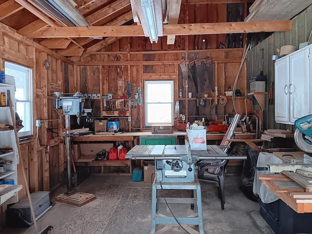 miscellaneous room with a workshop area, lofted ceiling, and wood walls