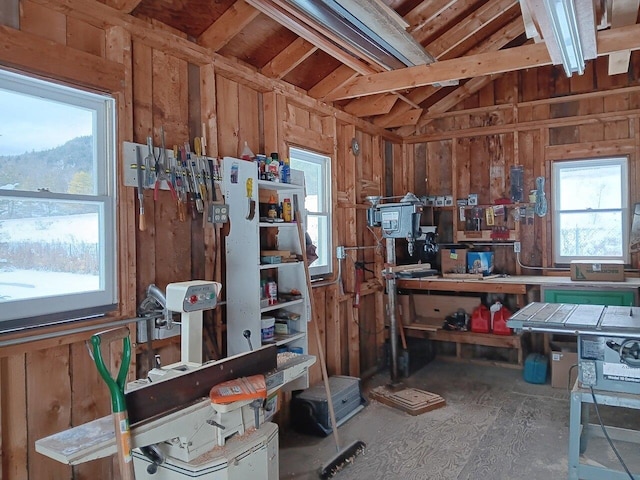 miscellaneous room featuring a workshop area and lofted ceiling