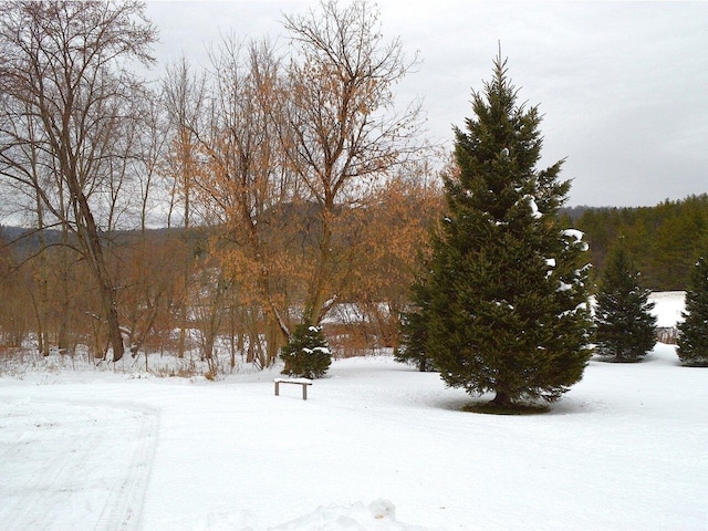 view of yard covered in snow