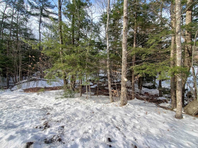 LOT23 E Washington Rd, Bradford NH, 03221 land for sale