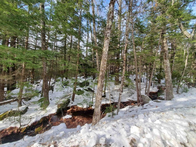 Listing photo 2 for LOT23 E Washington Rd, Bradford NH 03221