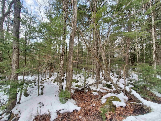 Listing photo 3 for LOT23 E Washington Rd, Bradford NH 03221