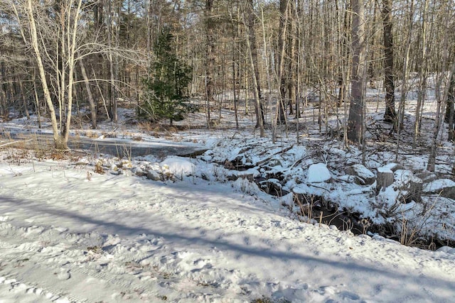 view of snow covered land