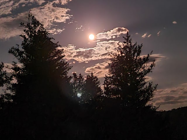 view of nature at dusk