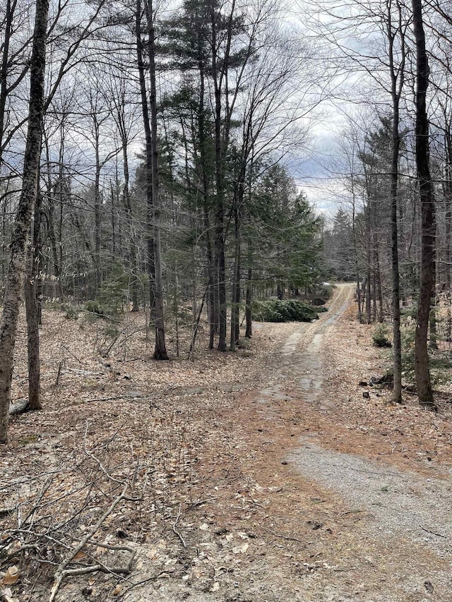 127 Salmon Brook Rd, Antrim, NH 03440