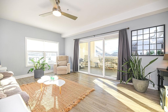 living room with ceiling fan and light hardwood / wood-style flooring