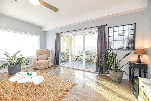 sitting room with ceiling fan and light hardwood / wood-style flooring