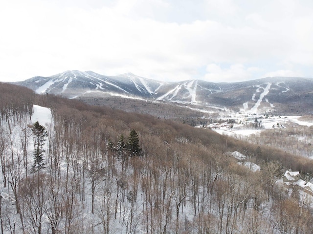 LOT13 Mountainside Dr, Killington VT, 05751 land for sale