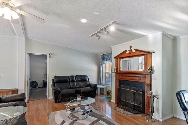 316 Depot St, Belmont, NH 03220 - living room with ornamental molding, rail lighting, ceiling fan, wood finished floors, and a fireplace with flush hearth