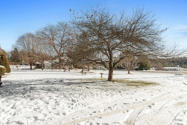 316 Depot St, Belmont, NH 03220 - view of snowy yard