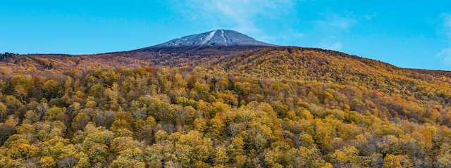 view of mountain feature