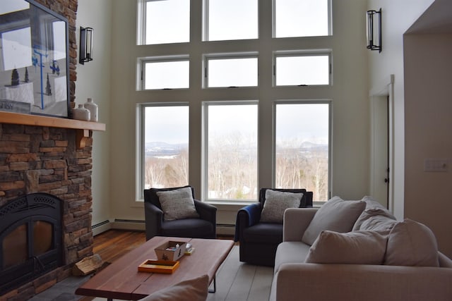 living room with a mountain view, a towering ceiling, and light hardwood / wood-style floors