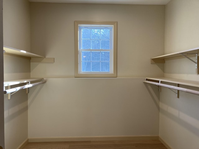 walk in closet with light wood-type flooring