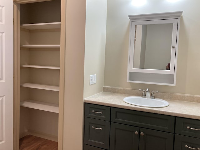 bathroom featuring hardwood / wood-style floors and vanity