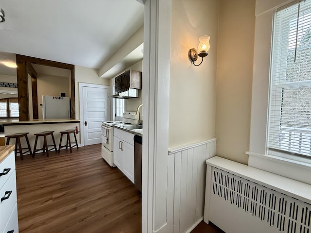 kitchen with white cabinets, dark hardwood / wood-style floors, radiator heating unit, and stainless steel appliances