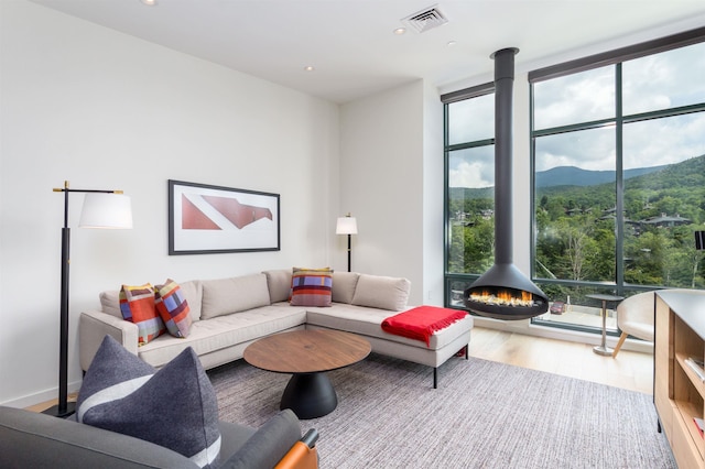 living room featuring a mountain view, a wood stove, and light hardwood / wood-style flooring