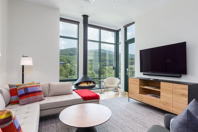 living room with hardwood / wood-style flooring, a wood stove, and floor to ceiling windows