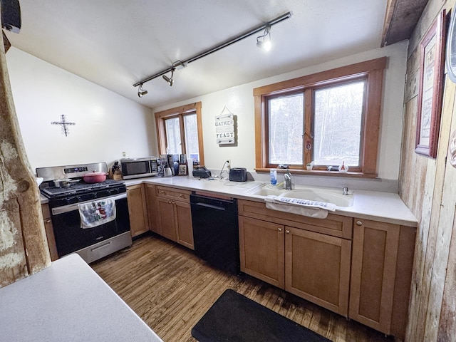 kitchen featuring dark hardwood / wood-style flooring, stainless steel appliances, plenty of natural light, and sink