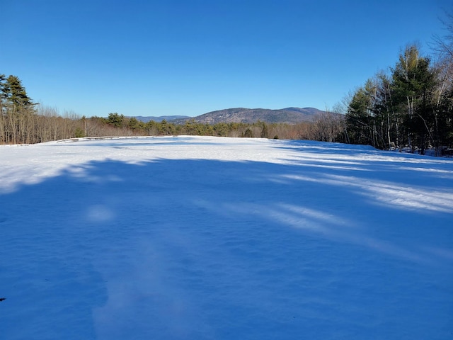 Listing photo 2 for 1060 Rte 16, Ossipee NH 03864