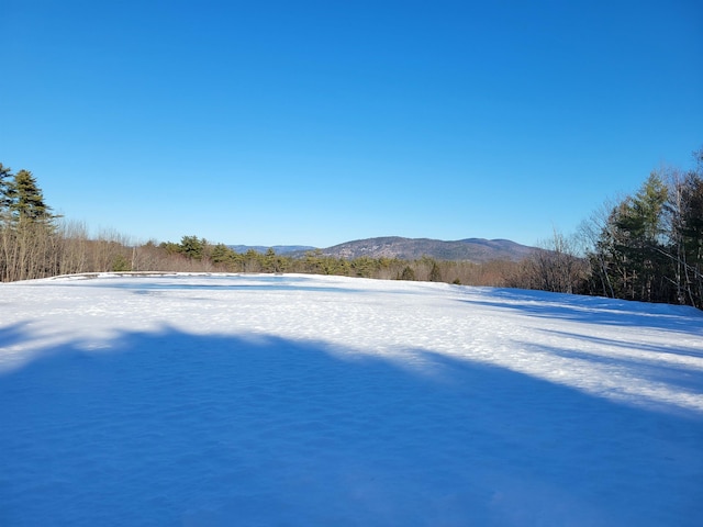 Listing photo 3 for 1060 Rte 16, Ossipee NH 03864