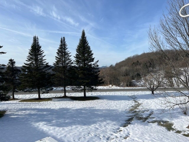 view of yard layered in snow