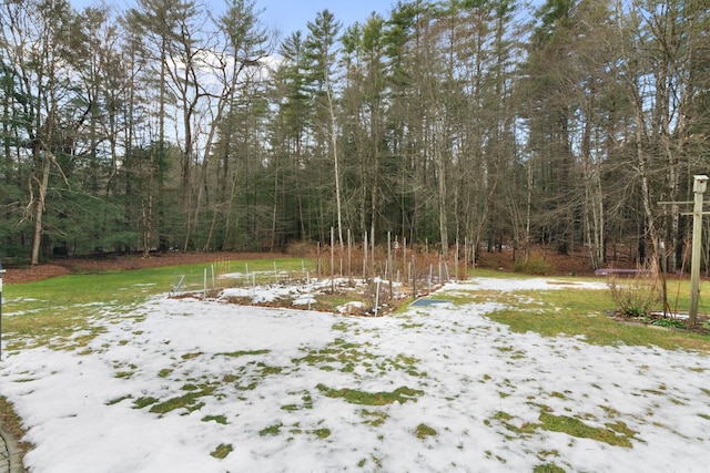 view of yard layered in snow