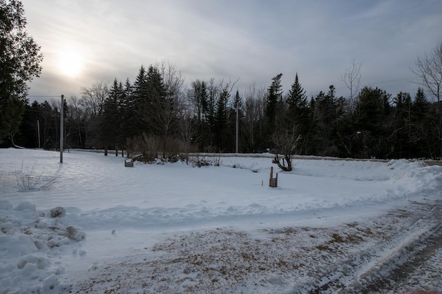 view of snowy yard