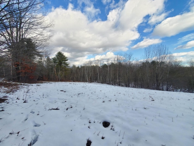 Listing photo 3 for LOT1 S Hemlock Rd, Charlestown NH 03603