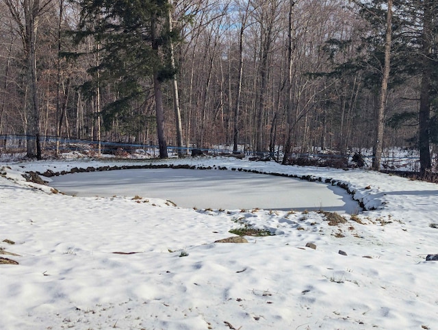 view of yard covered in snow