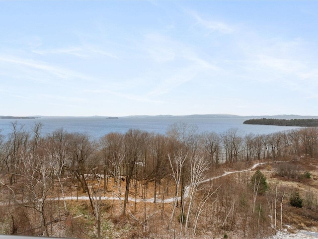 125 Cambrian Way Unit 609, Burlington, VT 05401 - water view