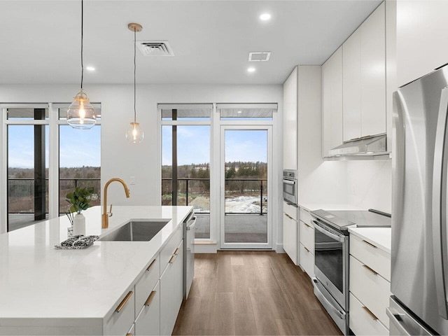 125 Cambrian Way Unit 609, Burlington, VT 05401 - kitchen featuring stainless steel appliances, a sink, under cabinet range hood, modern cabinets, and white cabinets