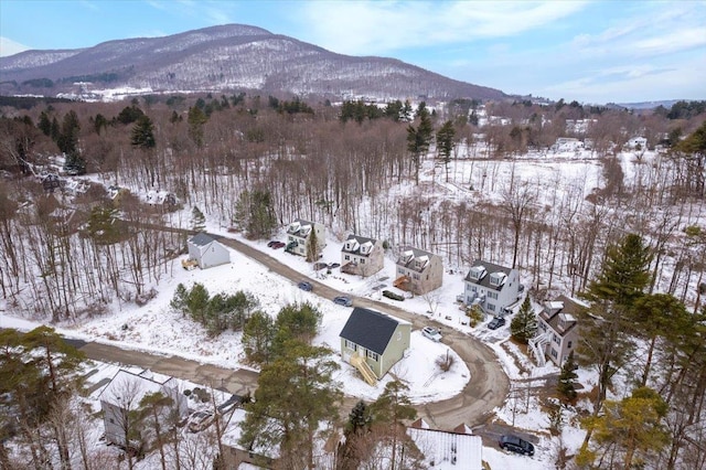 snowy aerial view featuring a mountain view