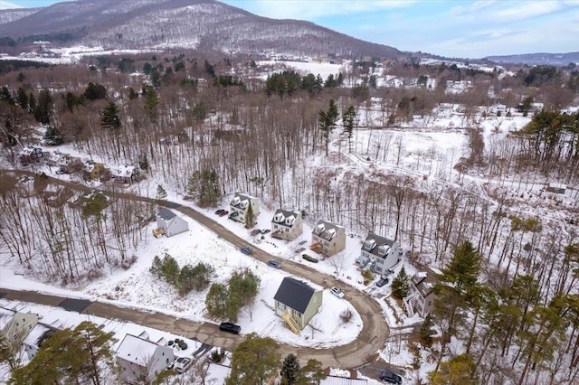 snowy aerial view with a mountain view