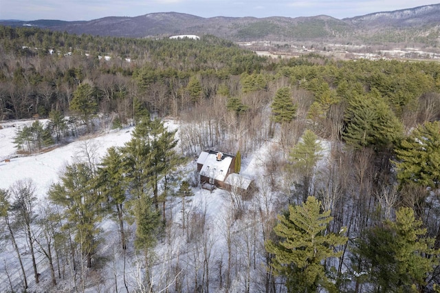 drone / aerial view featuring a mountain view