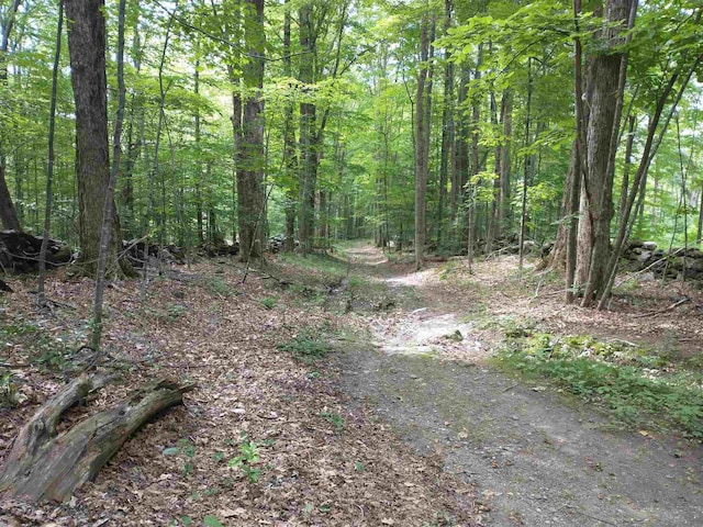 Listing photo 2 for LOT2 Faraway Rd, Putney VT 05346