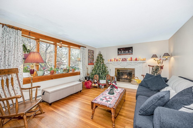 living room with a fireplace and hardwood / wood-style flooring